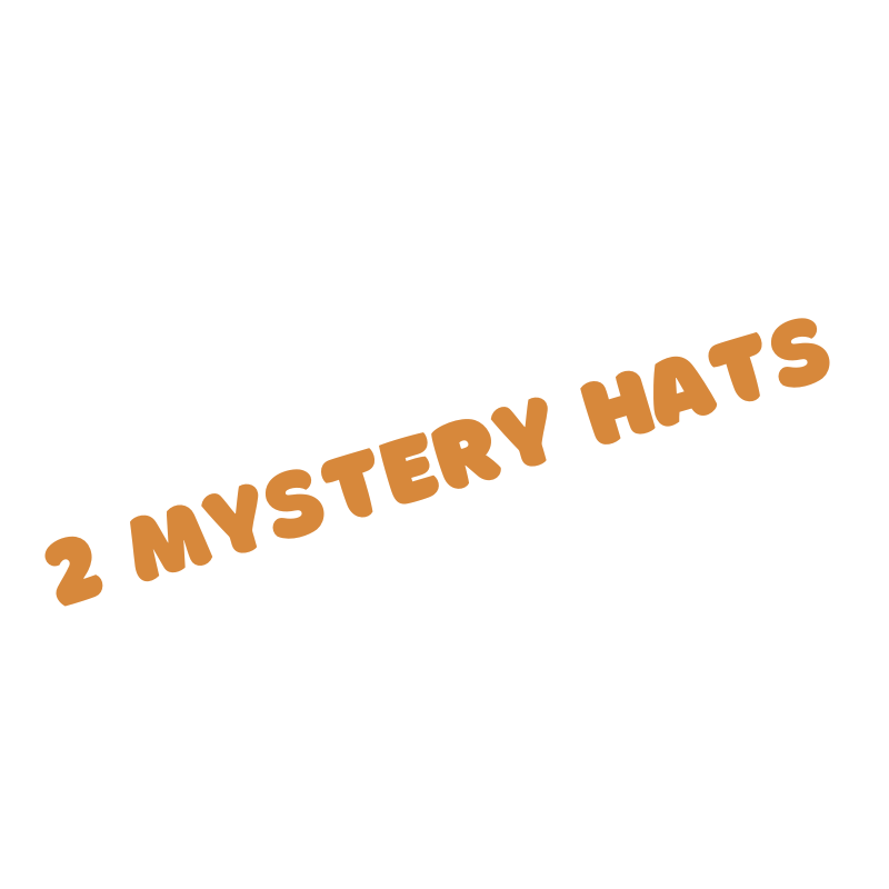2 MYSTERY HATS (SAVE!)